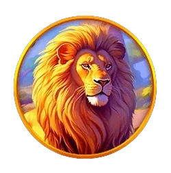 Lion
Safari